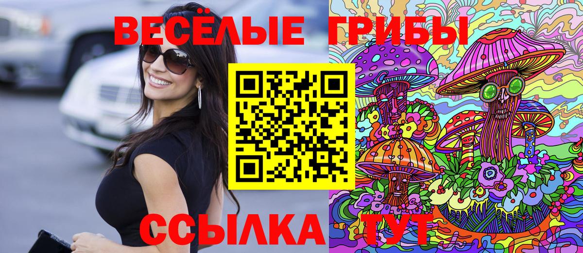 Галлюциногенные грибы ЛСД Заинск
